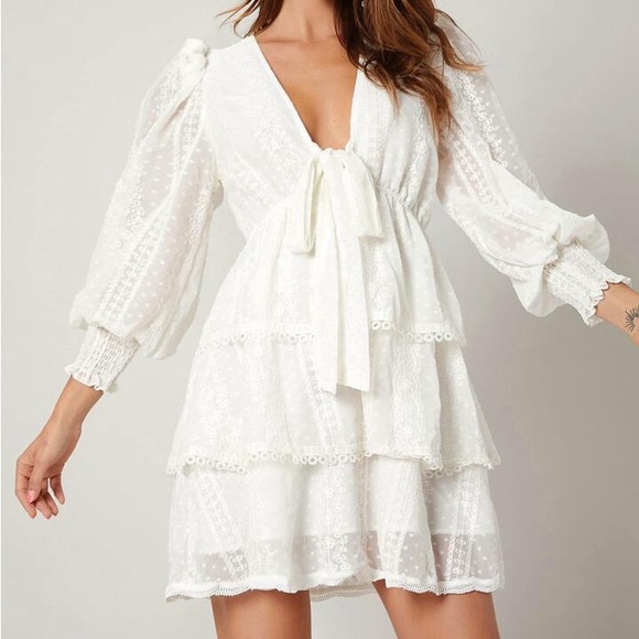 SHEIN X ELEPETRELLA Lantern Sleeve Tie Layered Hem Embroidery Chiffon Dress - MD - Picture 3 of 8